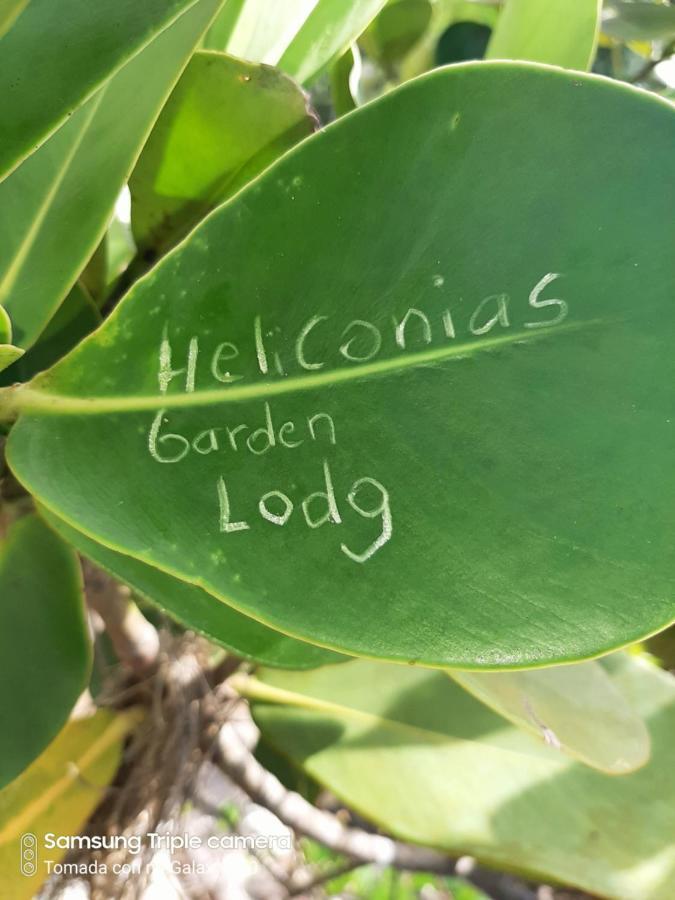 Garden Of Heliconias Lodge Drakes Bay Екстериор снимка
